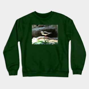 Little bird, nature. Crewneck Sweatshirt